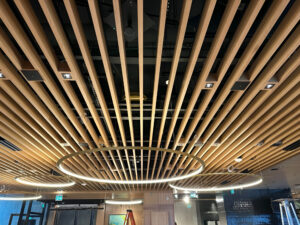 custom modern ceiling in Toronto at a Mall
